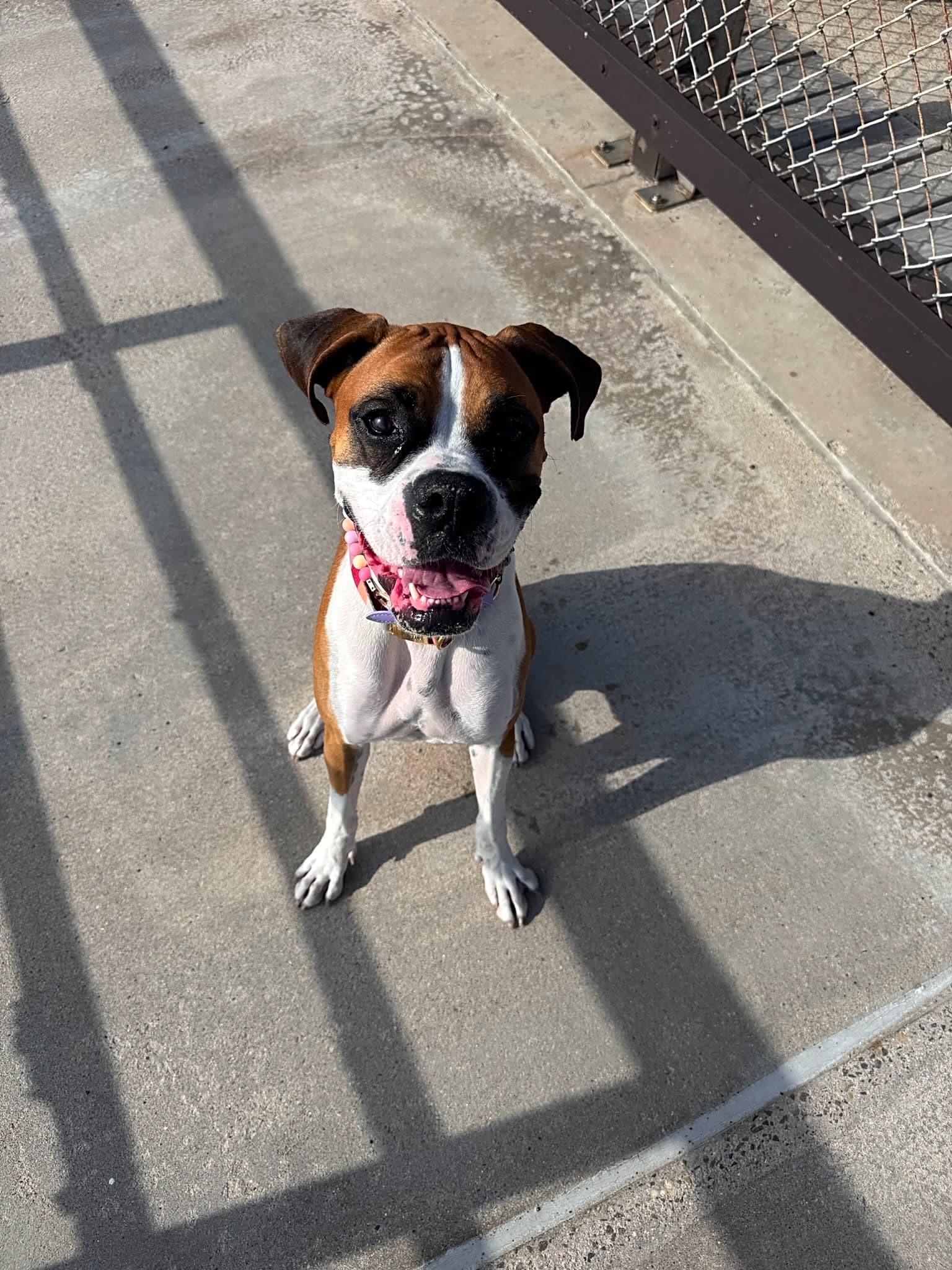 Photo of Penelope