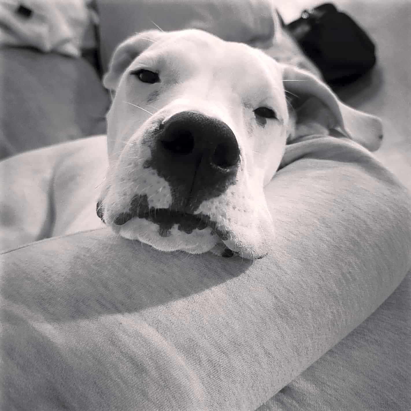 Photo of Kaos