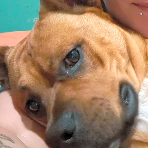 Photo of Blue