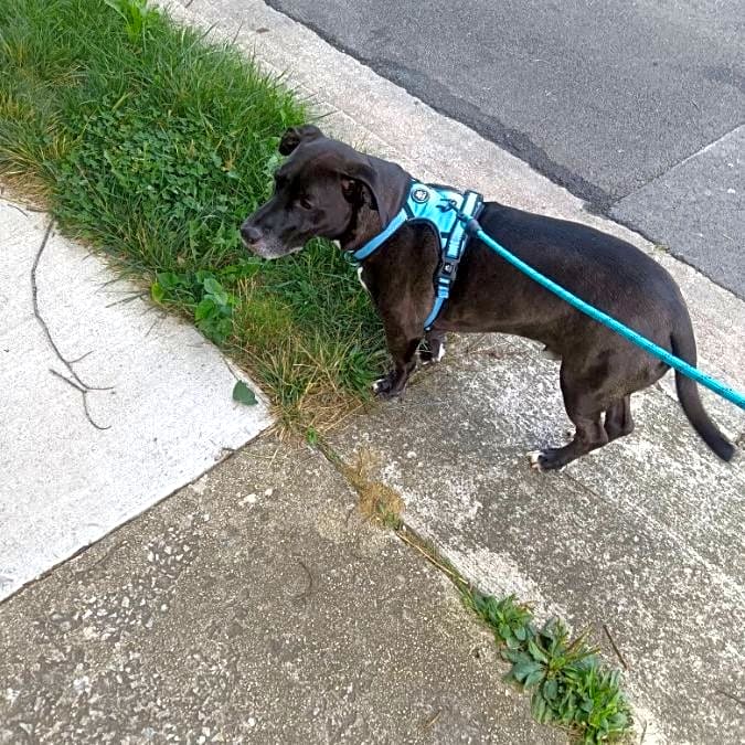 Photo of Odee