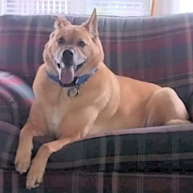 Photo of Lucky