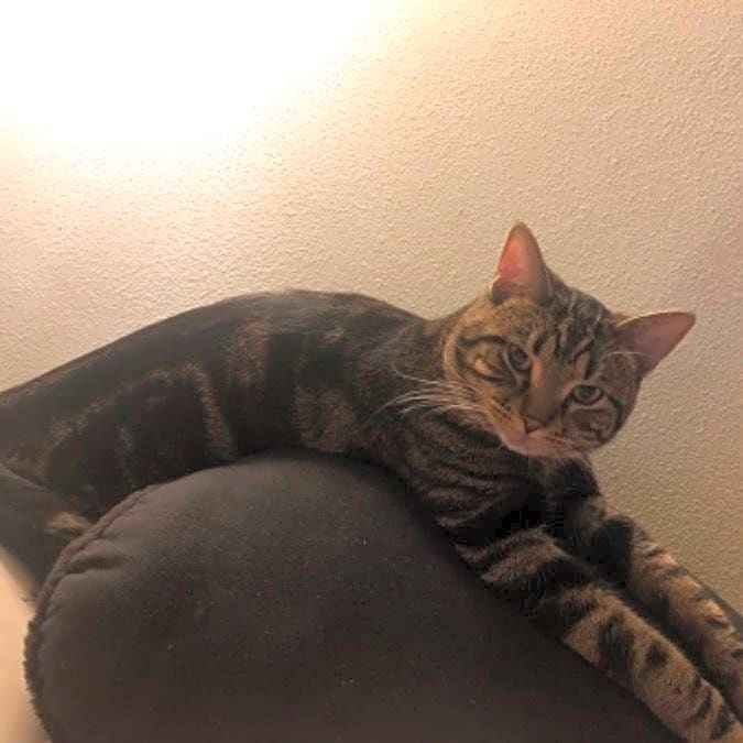Photo of Mikko