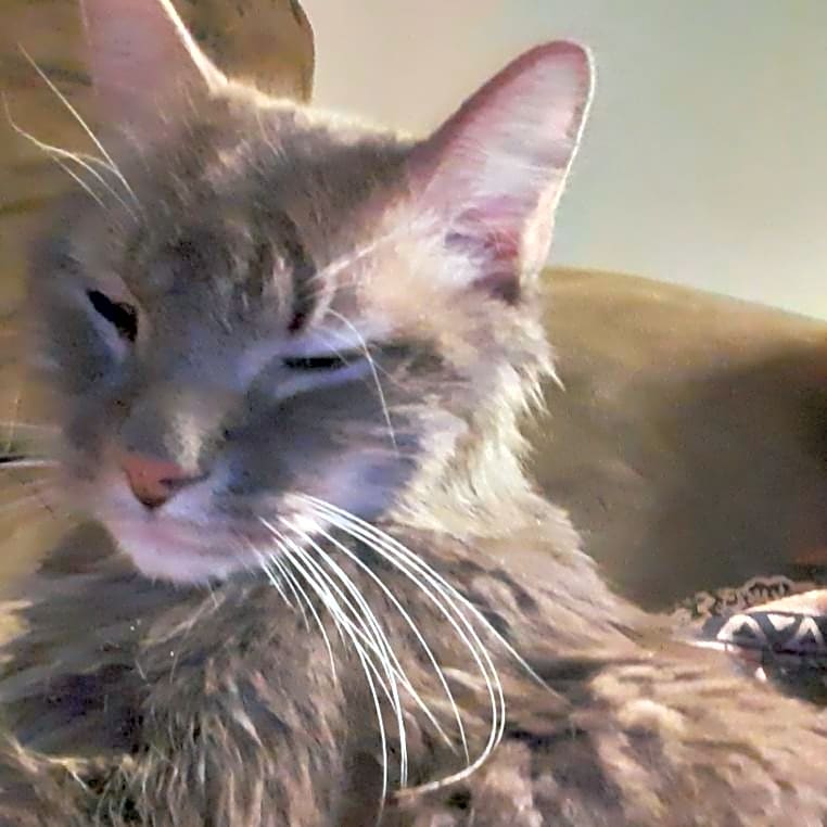 Photo of Cheesyburger