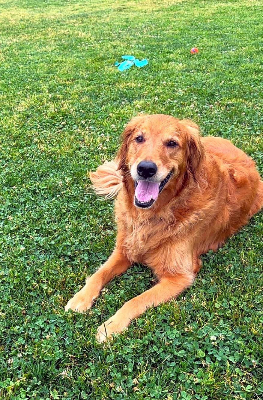 Photo of Daisy