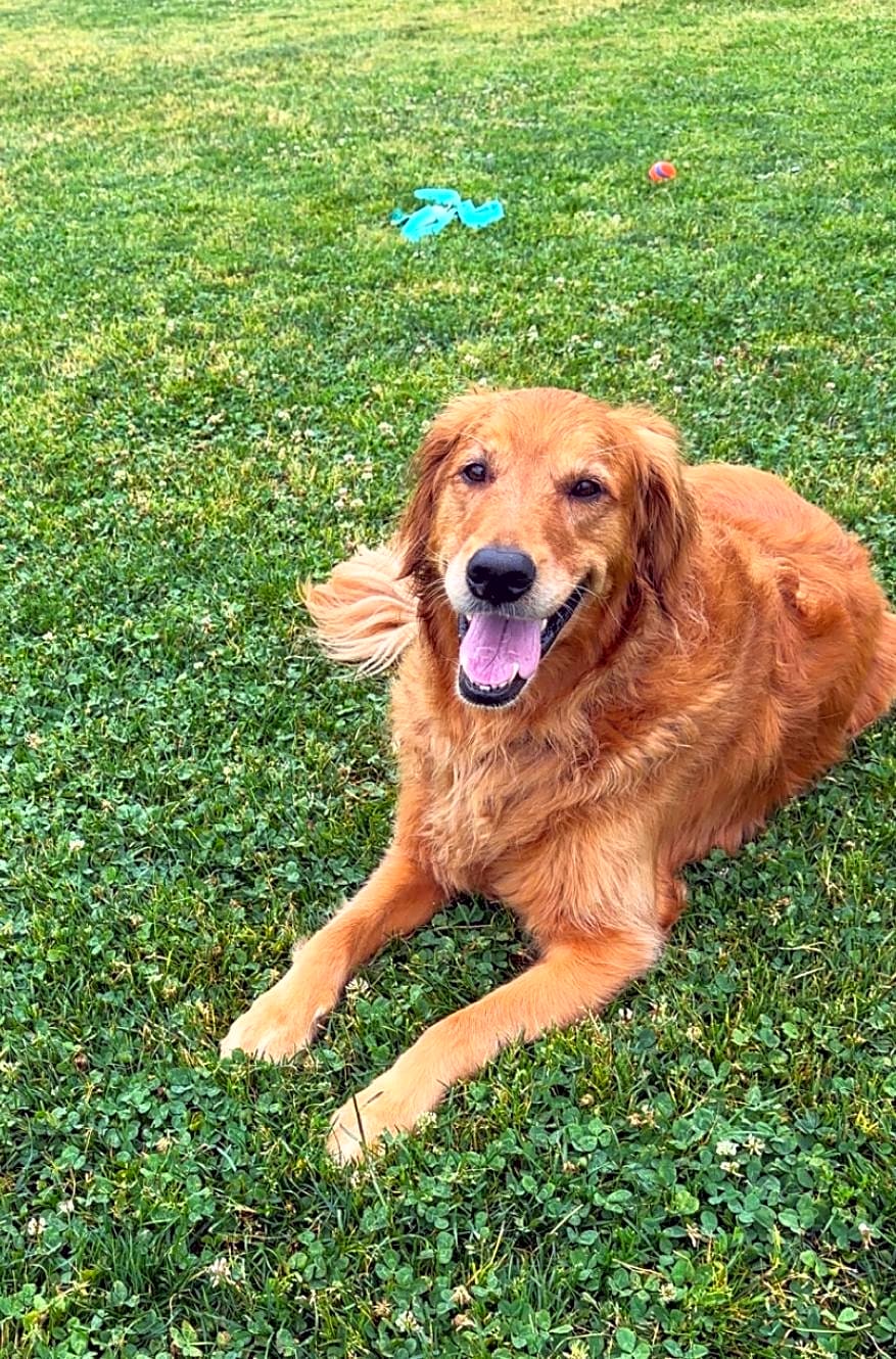 Photo of Daisy