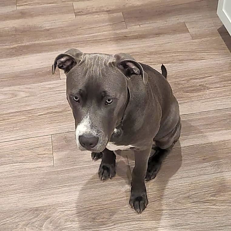 Photo of Smoke