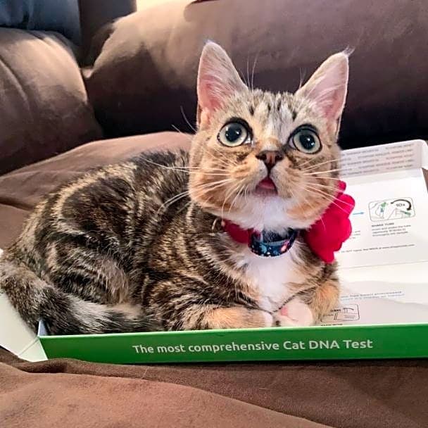 Photo of Pepper