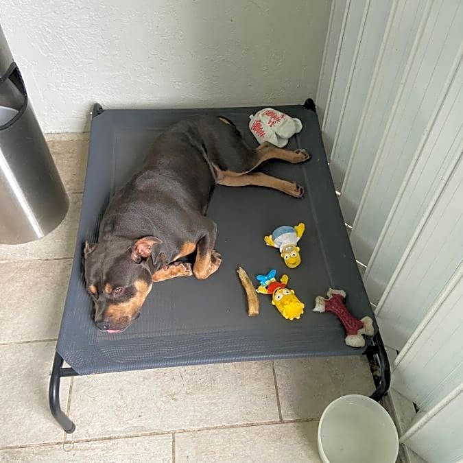 Photo of Chop