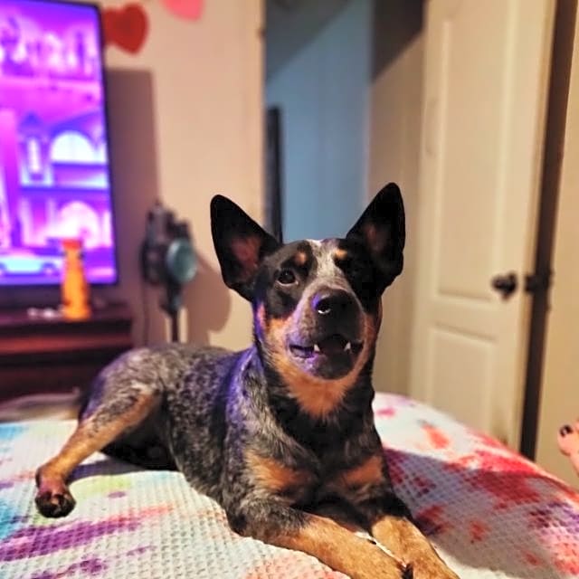 Photo of Mr. Goodboy