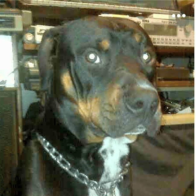 Photo of Biggie