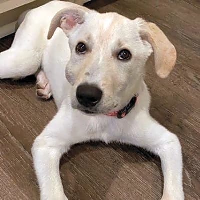 Photo of Murphy