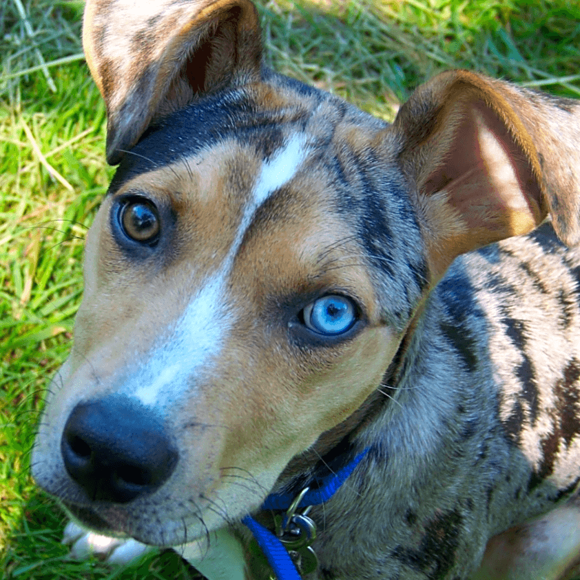 Photo of Susie Q