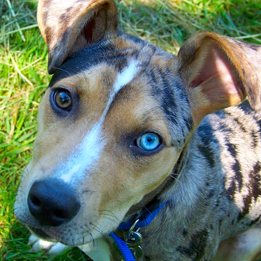Photo of Susie Q