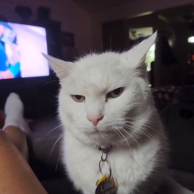 Photo of Lillie