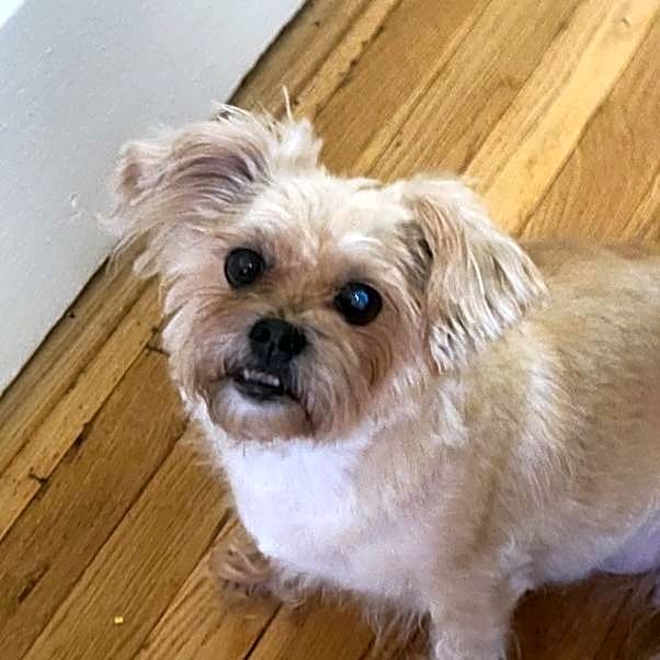 Photo of Moki