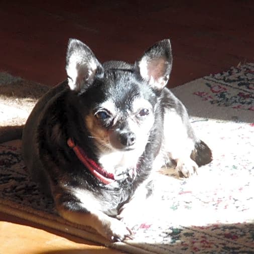 Photo of Sophie