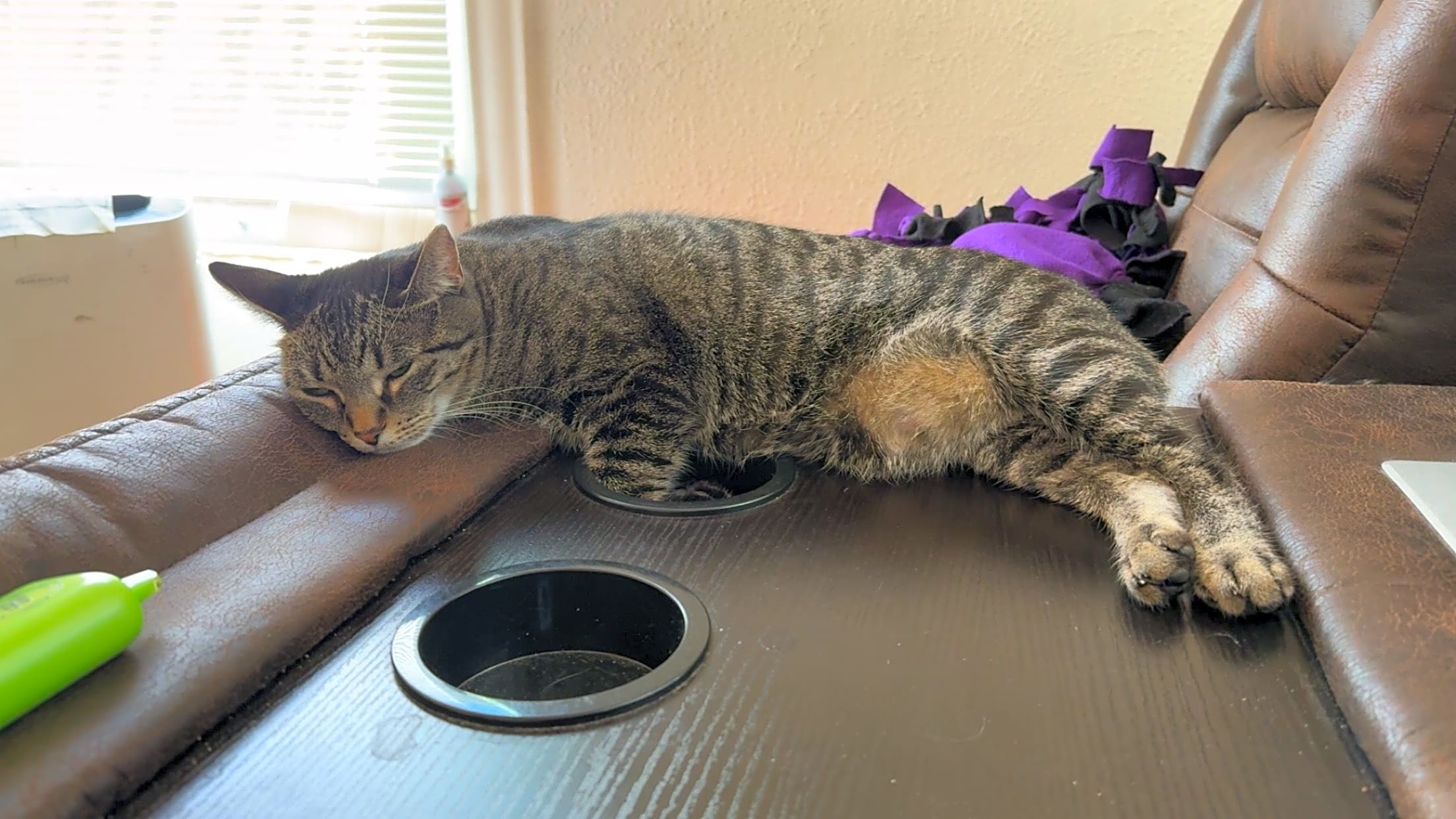 Photo of Phoenix