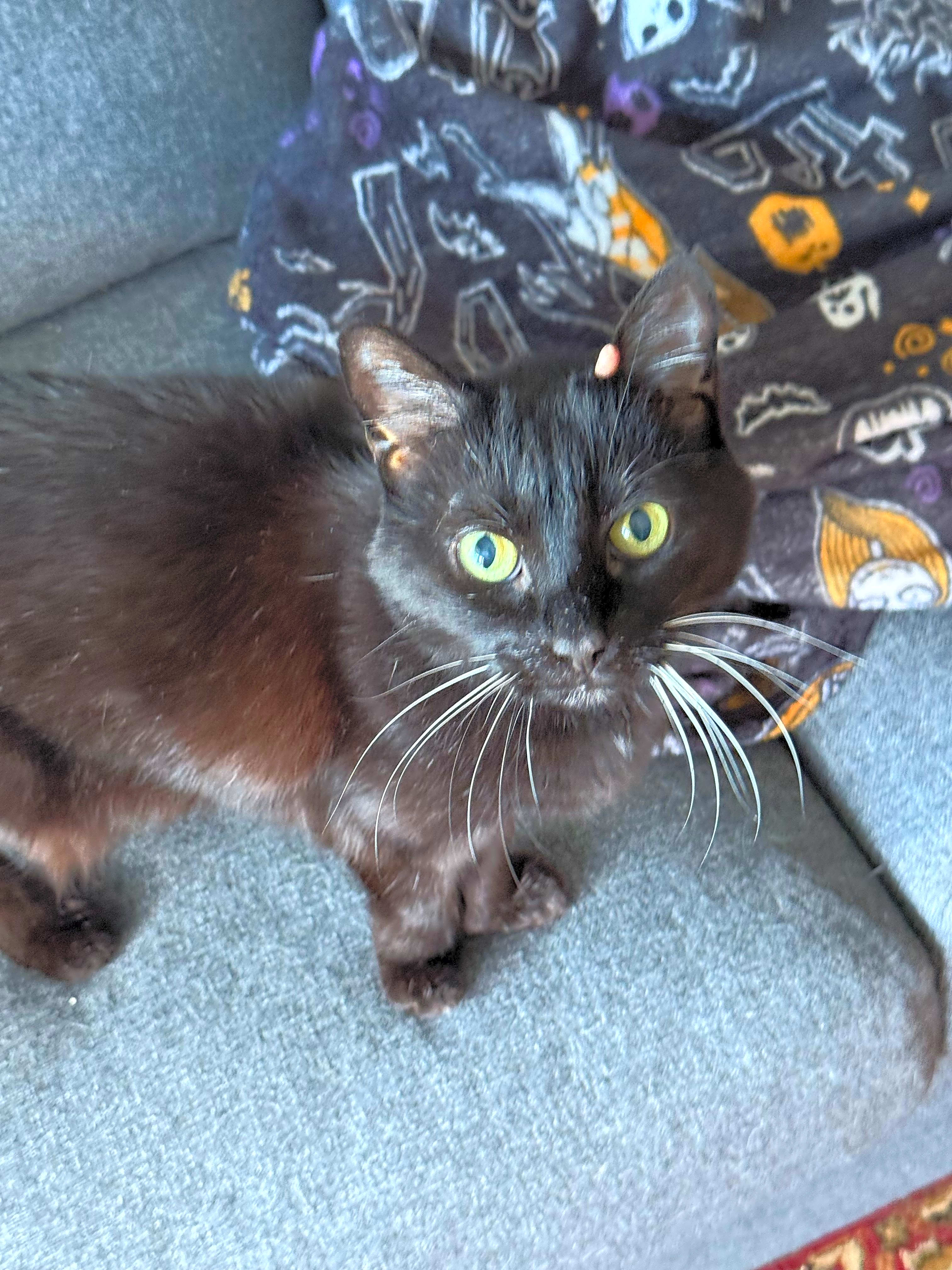 Photo of Yuki