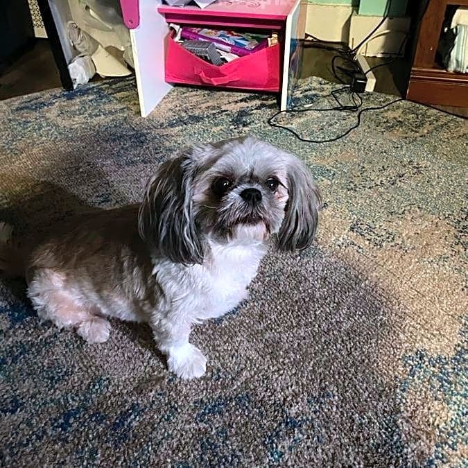 Photo of Mocha