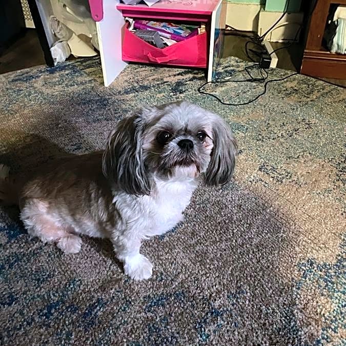 Photo of Mocha