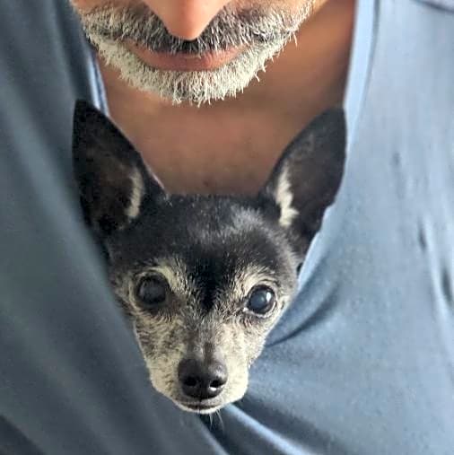 Photo of Chispita