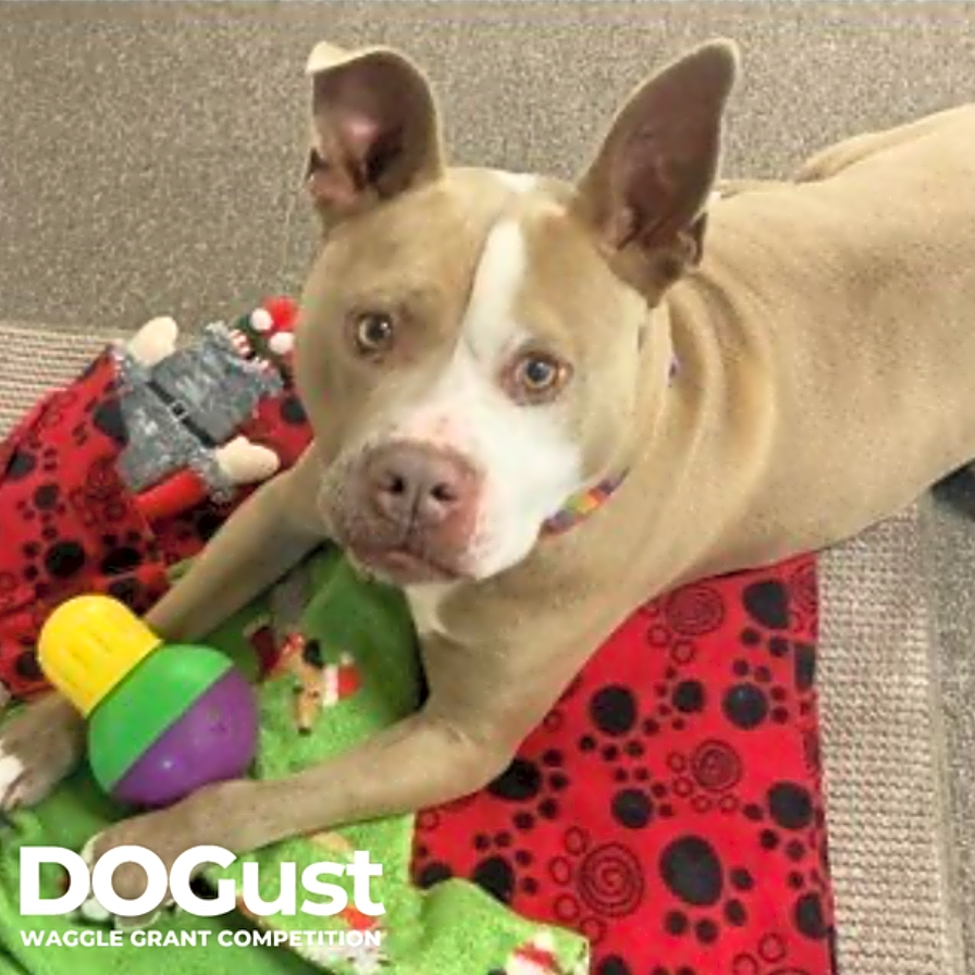 Photo of Duane finally found his forever!
