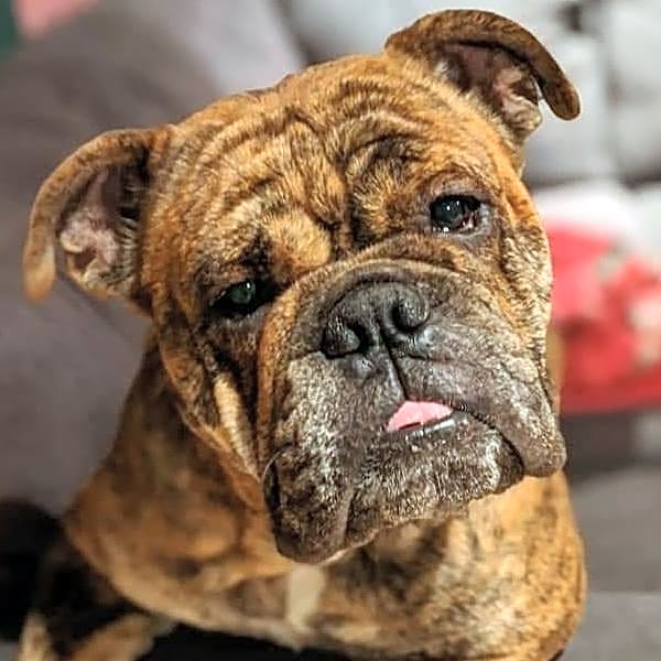 Photo of Tank
