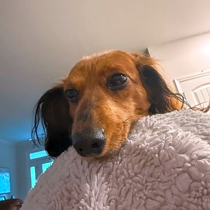 Photo of Trixie