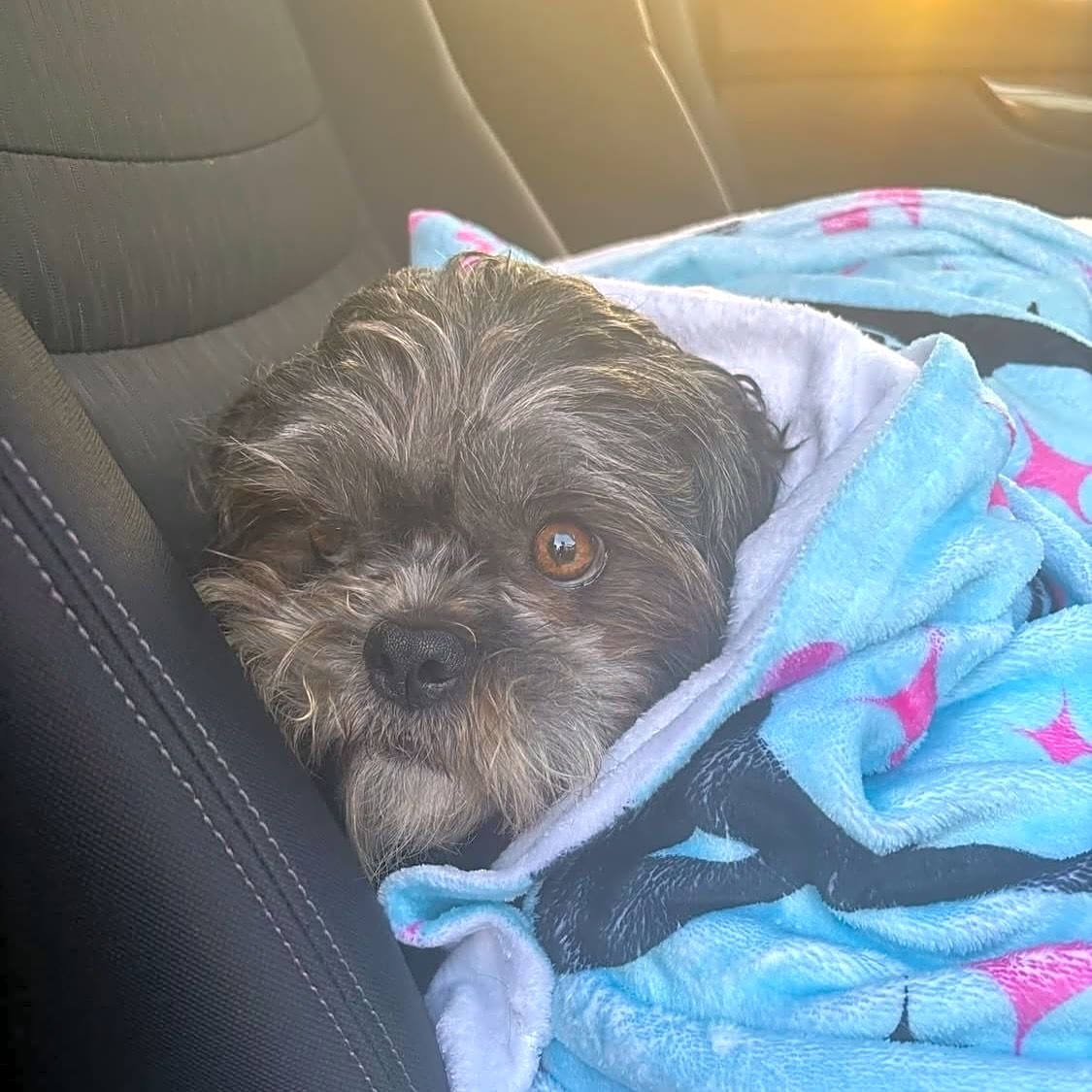 Photo of Oscar