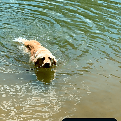 Photo of Shaggy