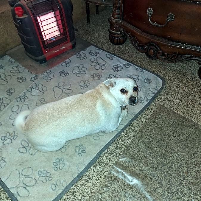 Photo of Freyda
