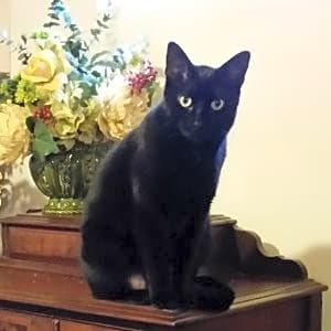 Photo of Aleister