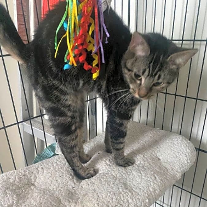 Photo of Storm