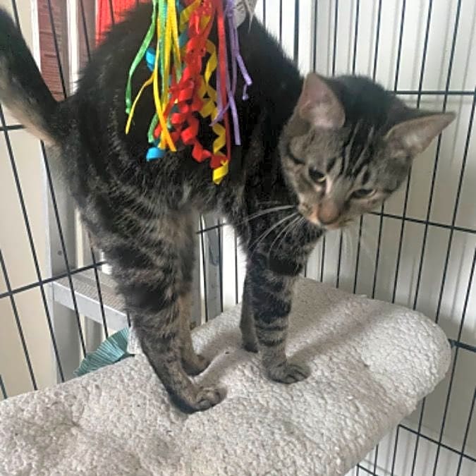 Photo of Storm