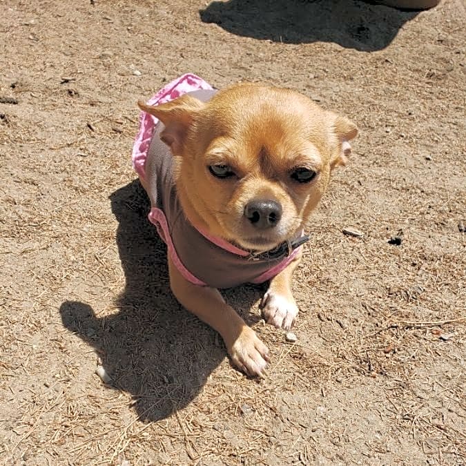 Photo of Mollie
