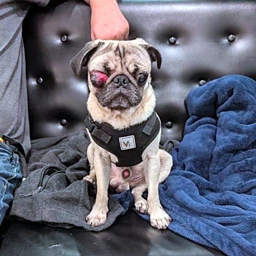 Photo of Bobby