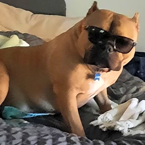 Photo of BERTRAM