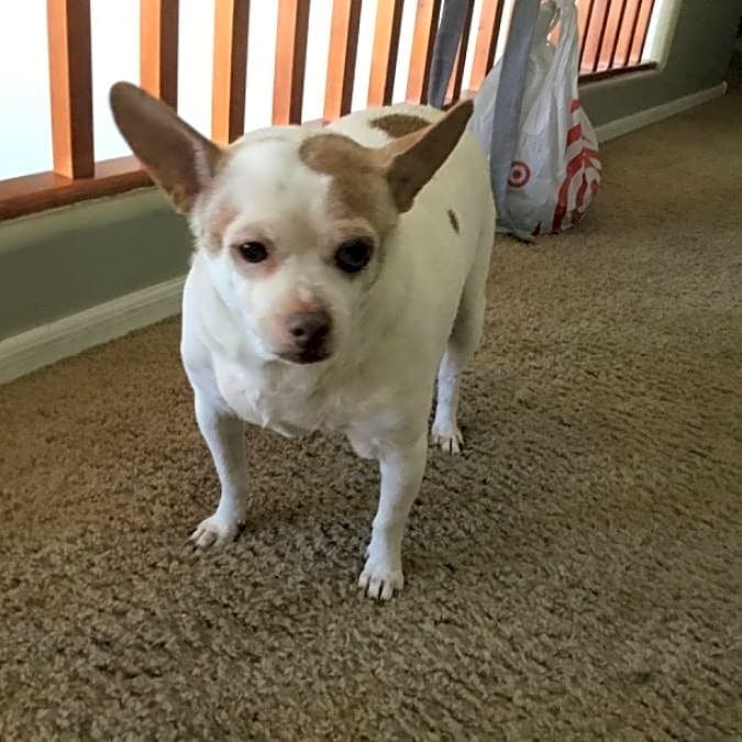 Photo of Lucas