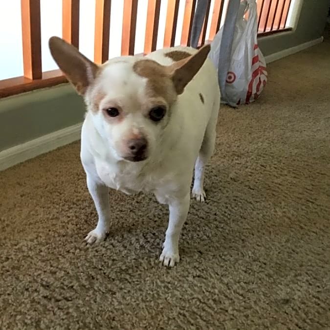 Photo of Lucas