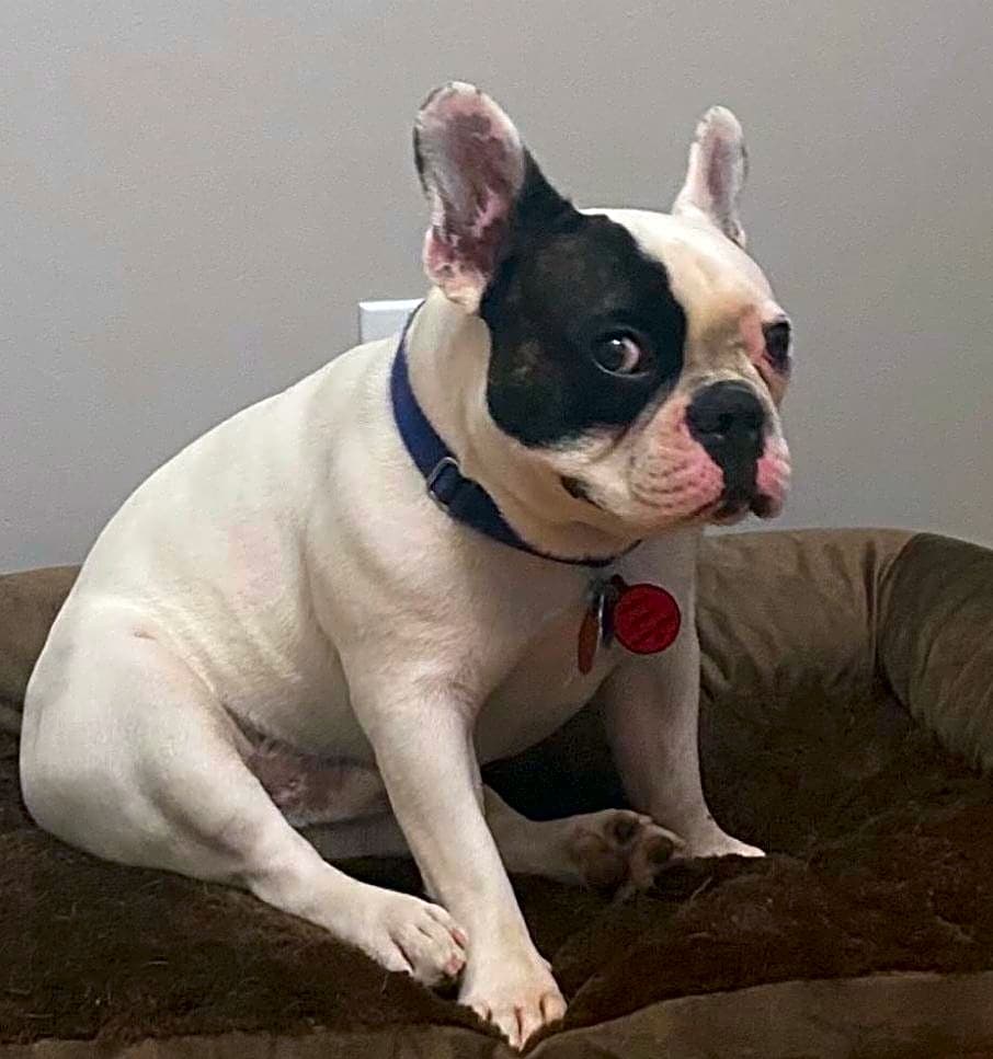 Photo of Hiro