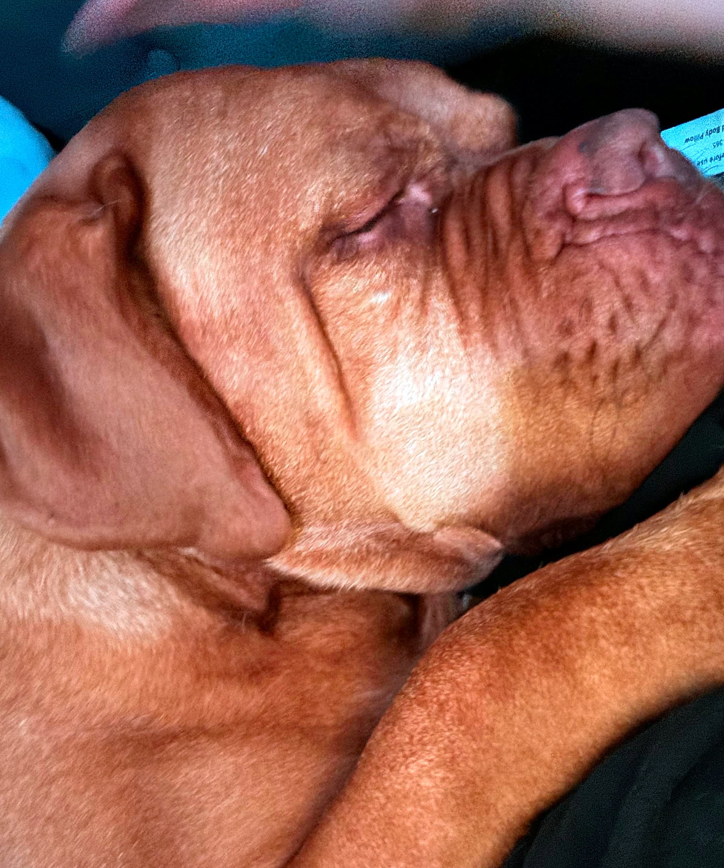 Photo of Hades