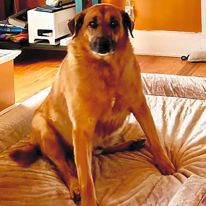 Photo of Nico