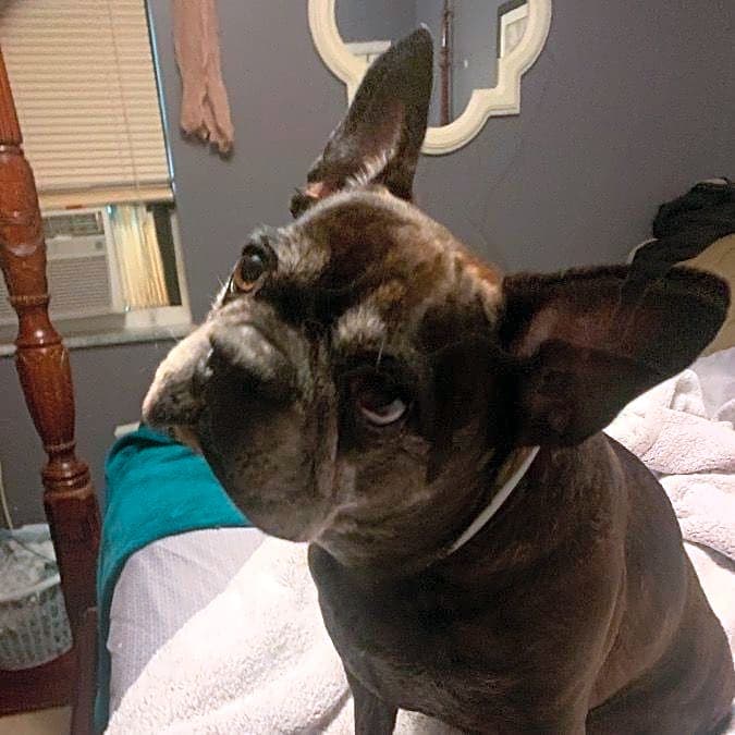 Photo of Bentley