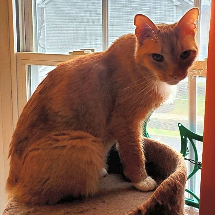 Photo of Percy