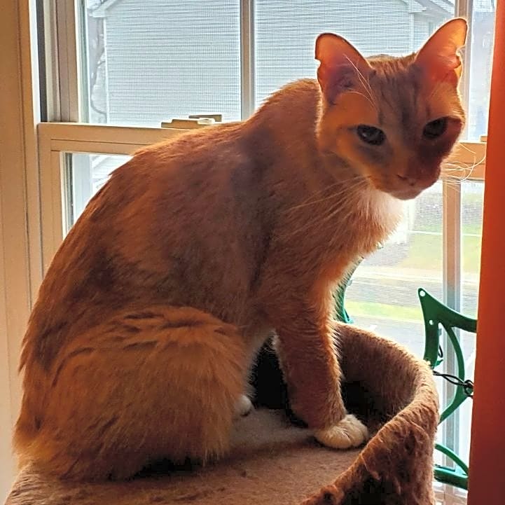 Photo of Percy