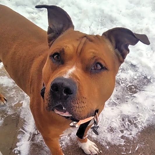 Photo of Diogee
