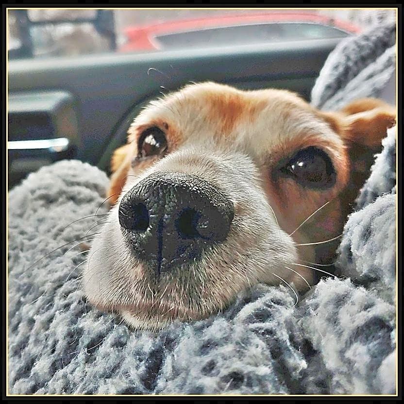 Photo of Daisy Mae
