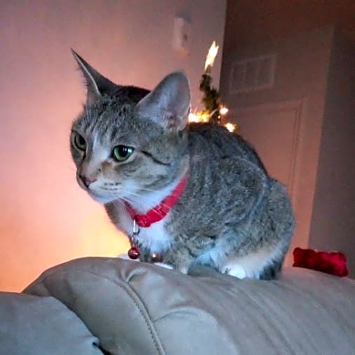 Photo of Rosie