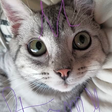 Photo of Storm