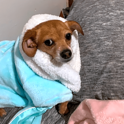 Photo of Dinky